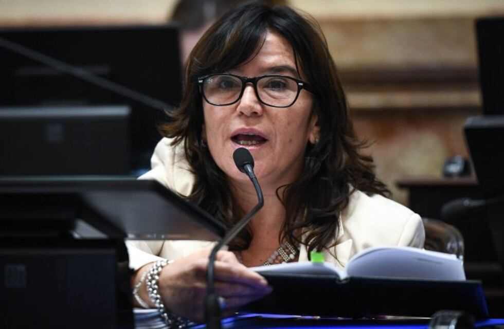 Reforma Constitucional: Para Ines Brizuela y Doria "el dictamen de la Procuración no es vinculante"