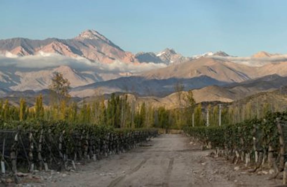 Vinos: se aprobó la creación de la indicación geográfica San Pablo