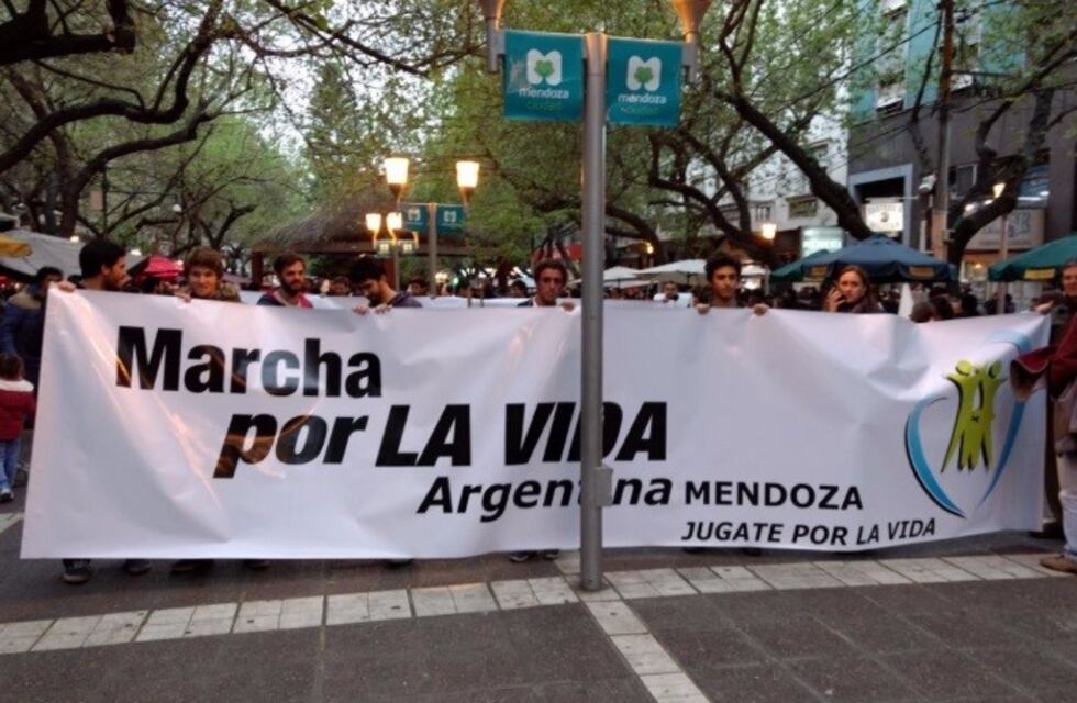 Aborto: contadores "provida" presentarán un informe de costos