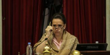 El tenso cruce entre Michetti y legisladores del radicalismo en plena sesión del Senado