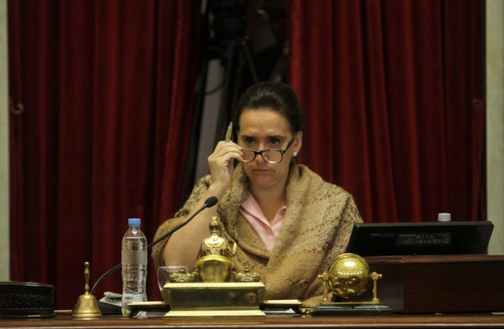 El tenso cruce entre Michetti y legisladores del radicalismo en plena sesión del Senado
