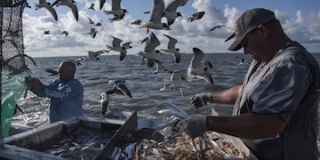 Pescadores artesanales de Puerto San Julián se reunieron con Provincia