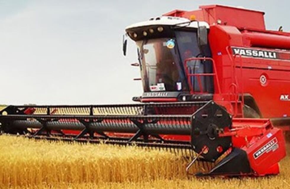 Vassalli regularizó a sus 300 trabajadores y volvió a producir después de un año