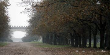 View of the Pereyra Iraola park, situated between the towns of La Plata and Hudson, province of Buenos Aires, Argentina, June 18, 2010\u002E Some 8,000 Argentinians have already joined a new Facebook group aiming at find ways to protect the park, declared Unesco biosphere reserve, presently menaced by the construction of a planned highway\u002E AFP PHOTO/Maxi Failla buenos aires parque Pereyra Iraola declarado reserva de la biosfera de la Unesco Unos 8\u002E000 argentinos se han unido ya un nuevo grupo de Facebook el objetivo de encontrar formas de proteger el parque