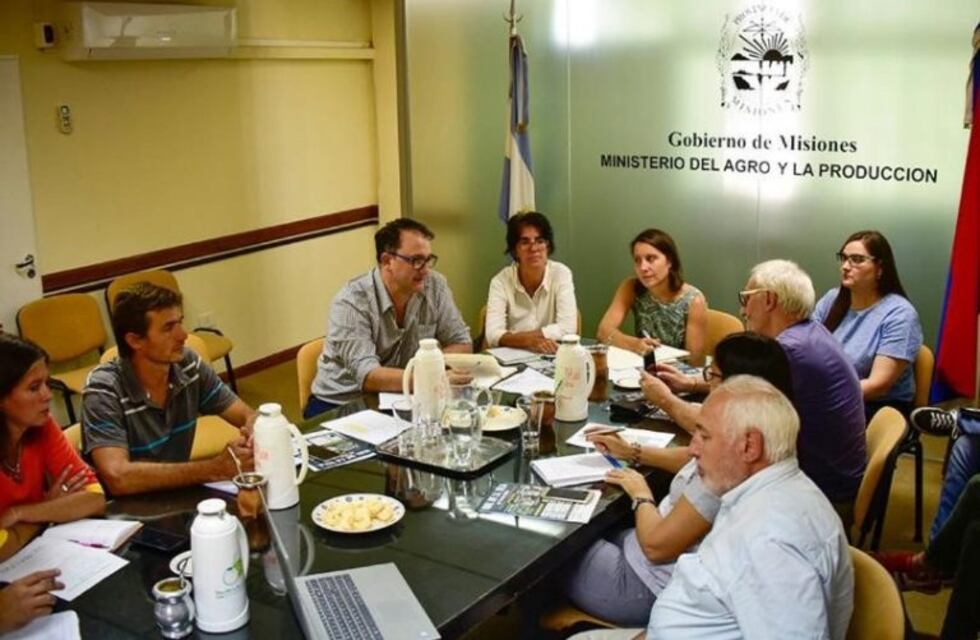 Monitoreo por el mal de la tela en la provincia: Andresito la localidad más afectada