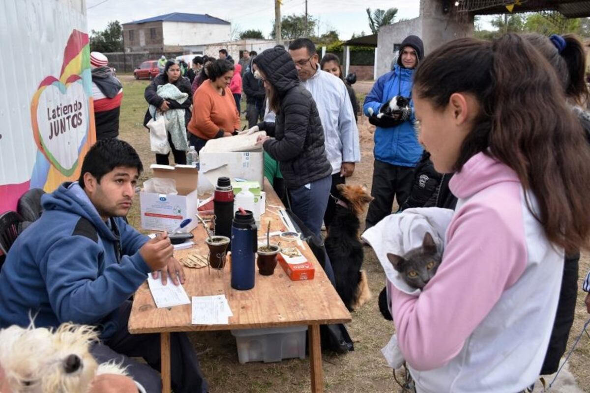 El programa Mascotas Saludables atiende a mil animales por mes
