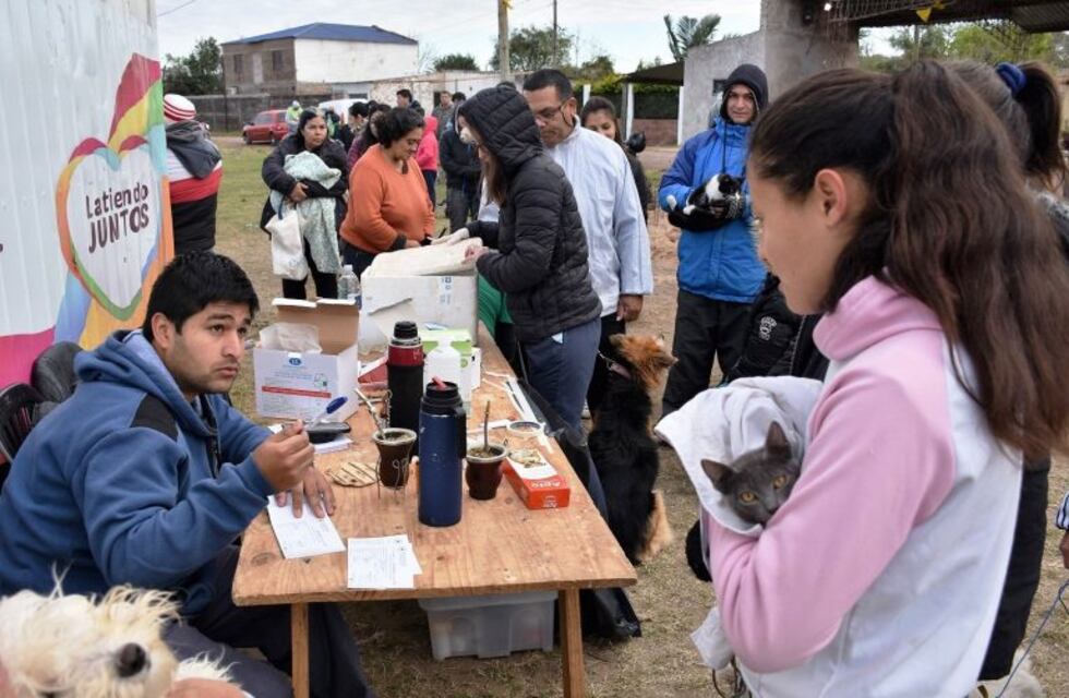El programa Mascotas Saludables atiende a mil animales por mes