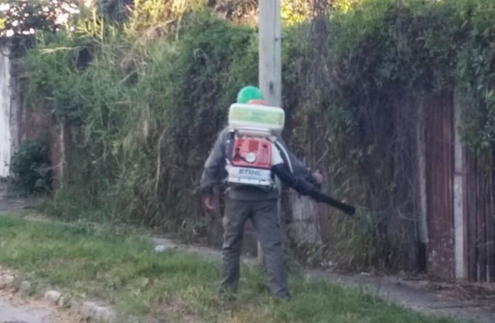 Se confirmó el primer caso de dengue del año