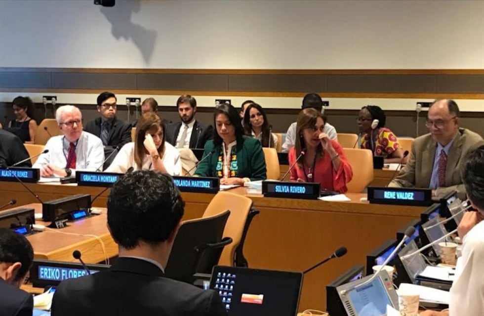 Tierra del Fuego presentó ante la ONU los avances en el cumplimiento de los Objetivos de Desarrollo Sostenible