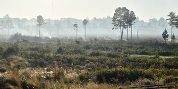 Un paraje cercano a Posadas que se incendió esta semana\u002E Poca lluvia en la selva y campos de Misiones\u002E Favorecen los incendios\u002E (Sixto Fariña)