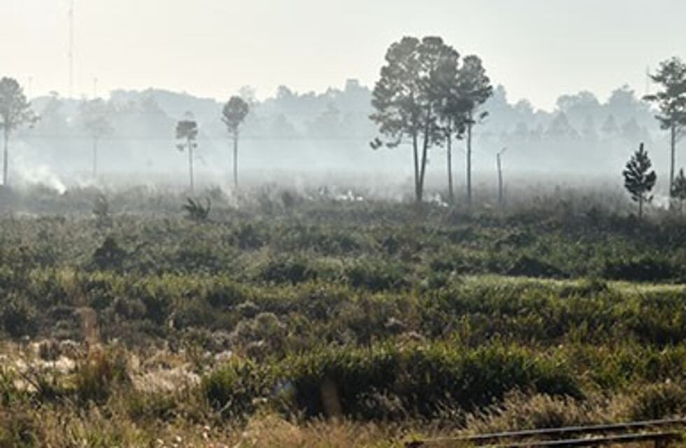 Cómo va a estar el clima en Posadas el fin de semana