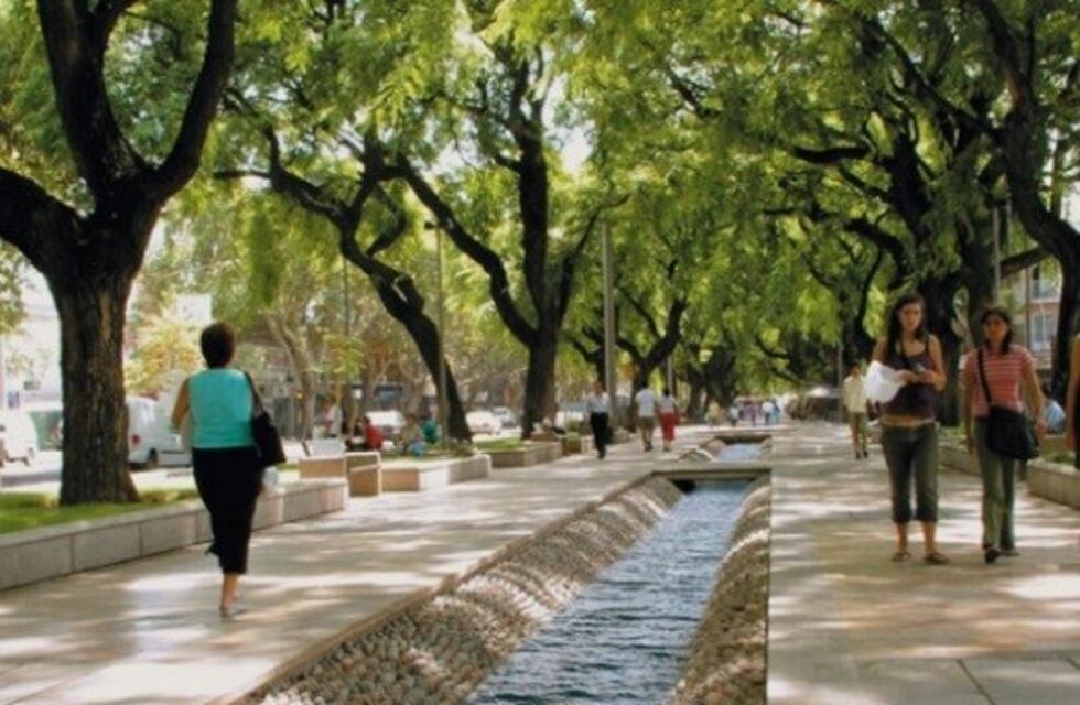 Tendrán que erradicar más de 12.000 árboles en el Gran Mendoza