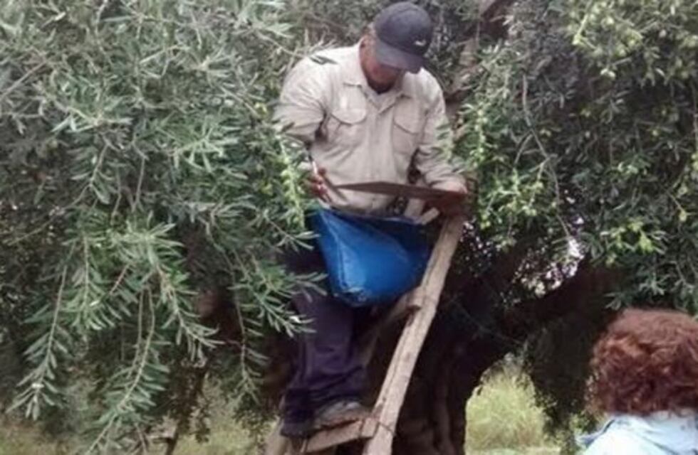 Este martes habrá cuarto intermedio por los despidos en Piedras Blancas y Nortagro
