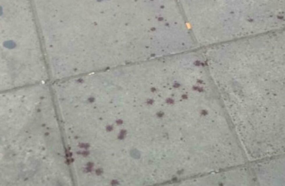 Tres jóvenes fueron atacados salvajemente por un patota y les llevaron todo