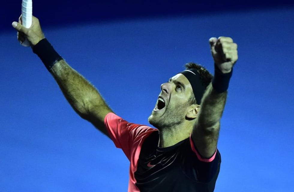 Del Potro escaló hasta el puesto ocho de la ATP gracias al título en Acapulco