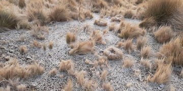 Agua nieve en las Altas Cumbres