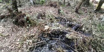 Los usurpadores pretendieron limpiar el terreno y provocaron incendios\u002E