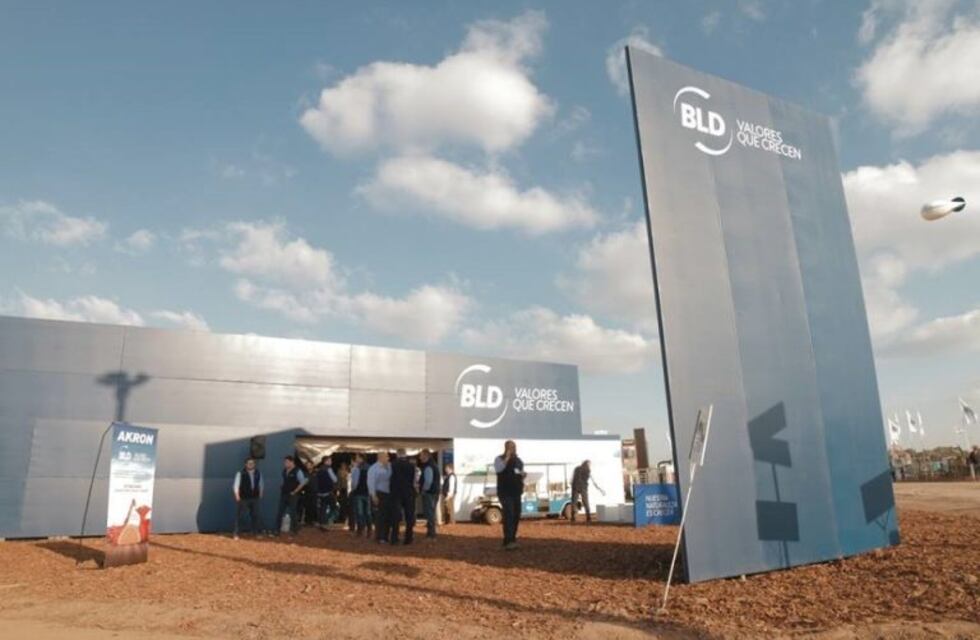 Preparan denuncia federal contra BLD para pedir el arresto de directivos