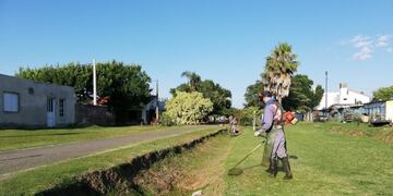 Tareas de desmalezado (Prensa Municipalidad de Rafaela)