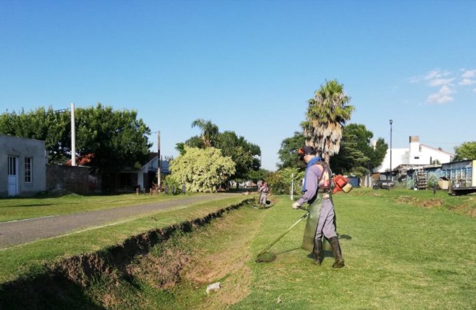 Denuncias y allanamientos por la falta de mantenimiento en lotes, terrenos y veredas