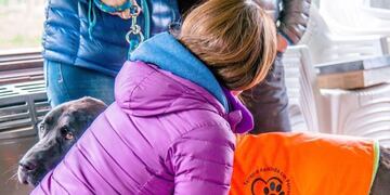 Taller de Terapia Asistida con perros en Ushuaia