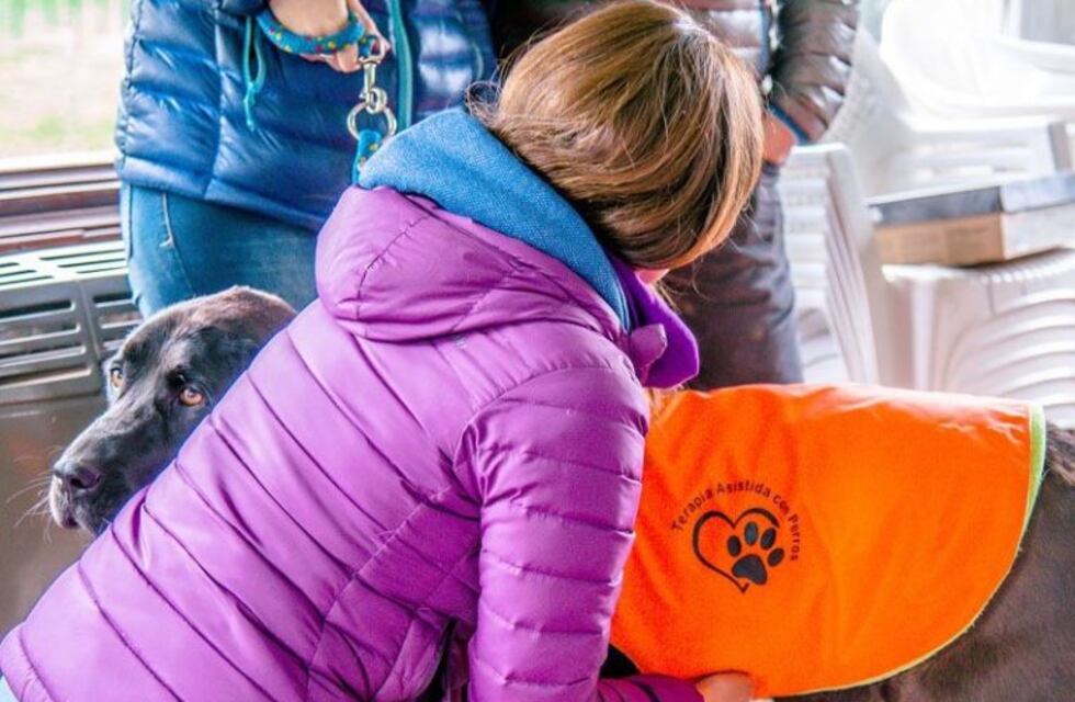 Terapia asistida con perros: se abre la inscripción para participar del 6 al 10 de Agosto