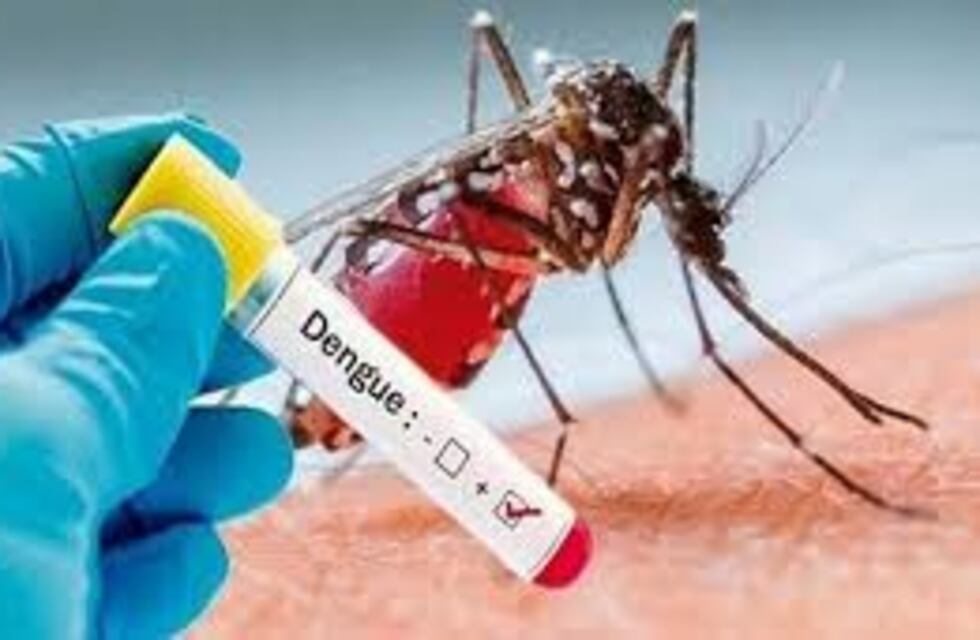 El Dengue sigue avanzando: 90 casos confirmados en Chaco