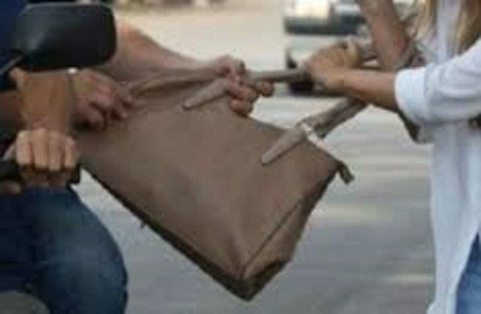 Le robaron la cartera a una mujer y busca sus documentos