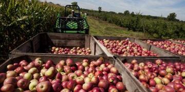 Manzanas Argentinas