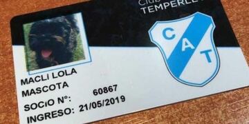 Temperley también asocia a las mascotas de sus hinchas (Foto: Twitter/TemperleyOK)