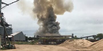 La explosión se produjo en una de las celdas de la planta de la firma Cofco, ex Nidera en Puerto San Martín\u002E (Twitter)