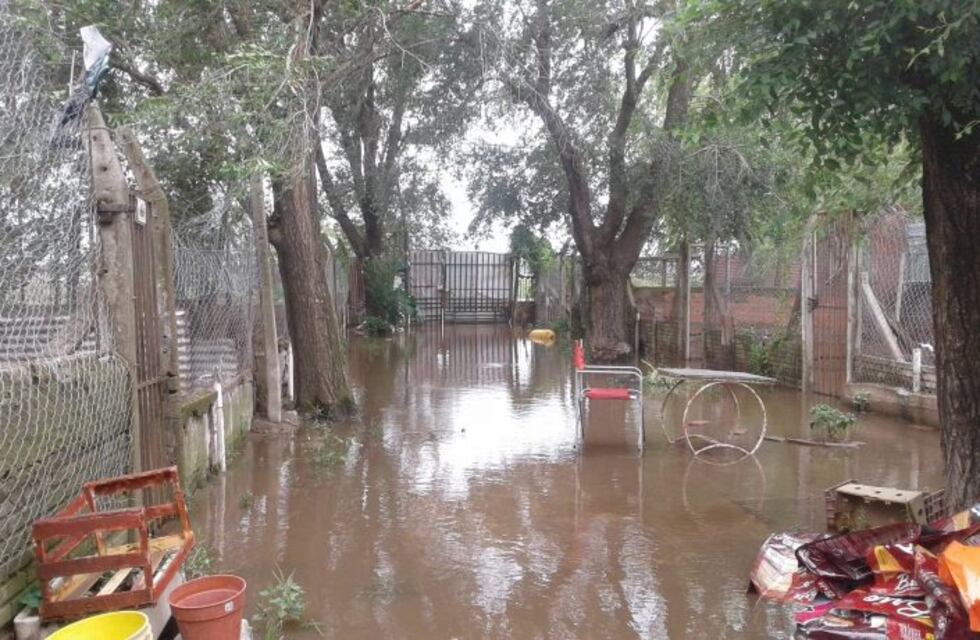 Se inundó la sede de la protectora Sarmiento y piden ayuda