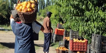 Es difícil la situación que atraviesa la producción local de carozo, principalmente en el damasco, durazno y ciruela como principales referentes\u002E