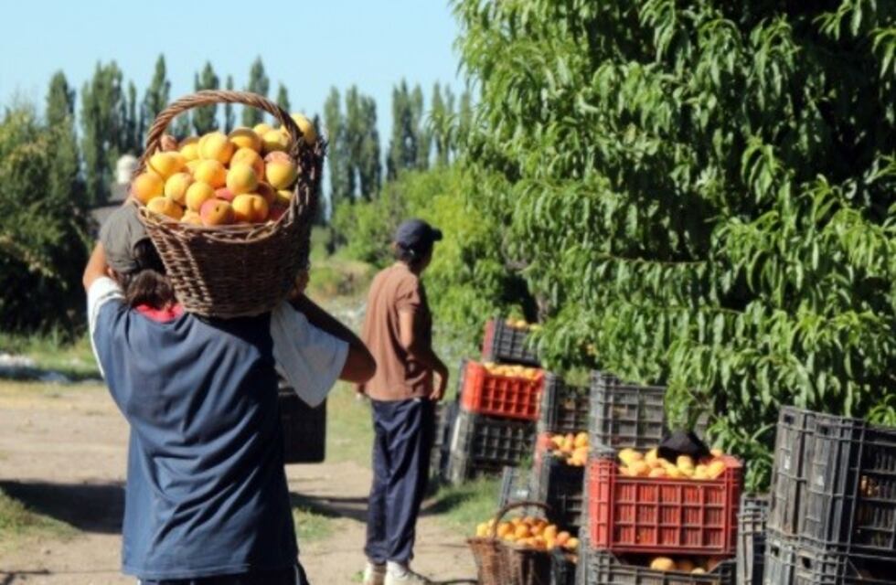Si te gusta el durazno, aguantate la pelusa: el 45% del precio al consumidor son impuestos