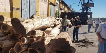 Las 80 toneladas de rollos de madera transportados de forma ilegal\u002E