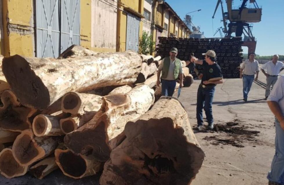 Sager: "A los bosques tenemos que defenderlos entre todos"