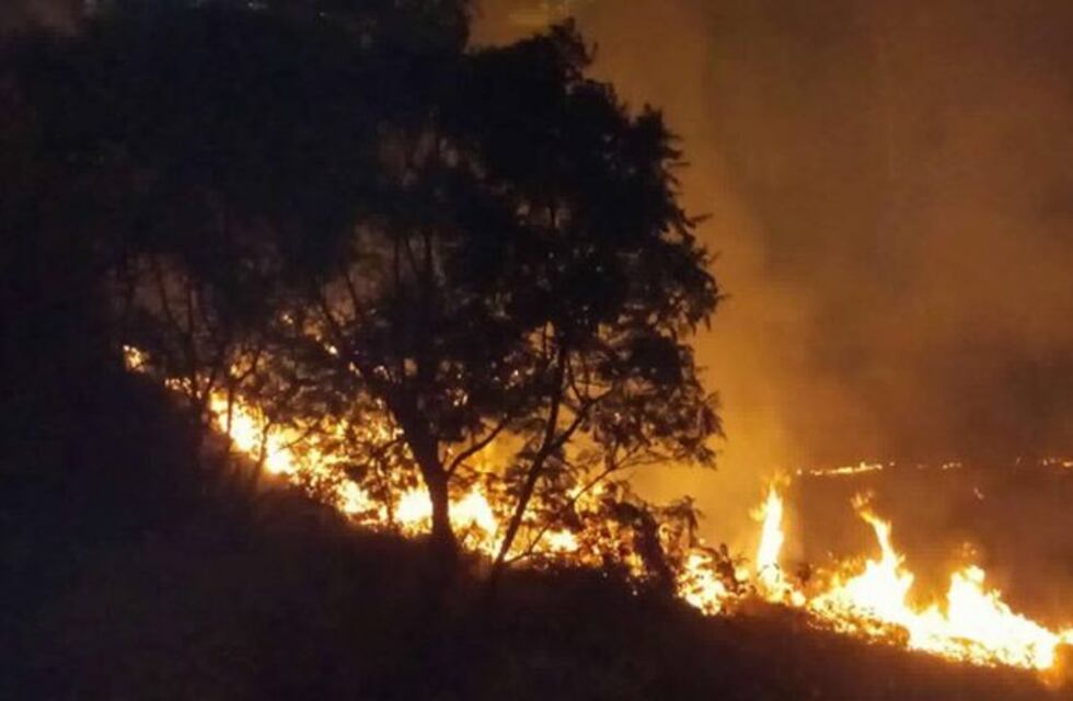 Incendio en la "cueva del oso" del Parque Sarmiento