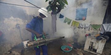 Combate contra el mosquito transmisor del dengue\u002E (Imagen ilustrativa)