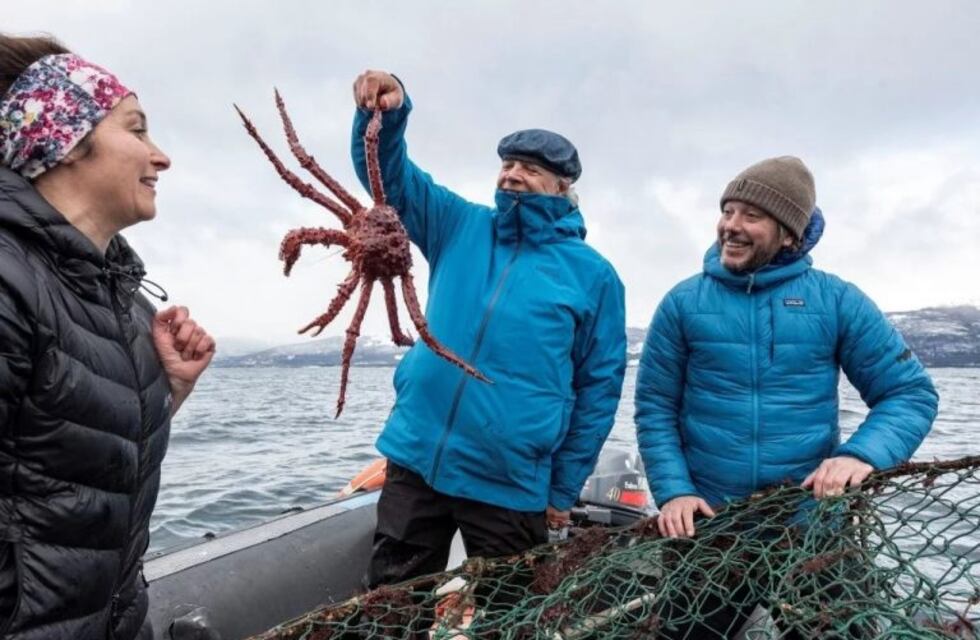Las familias de la "ruta de la centolla" se sienten amenazadas por las salmoneras