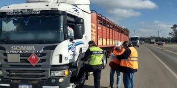 El Senasa continúa controlando la carga de camiones en rutas nacionales para proteger a los consumidores
