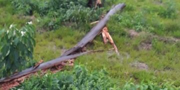 El temporal en San Pedro causó el corte de la energía eléctrica en la zona\u002E (Misiones Online)