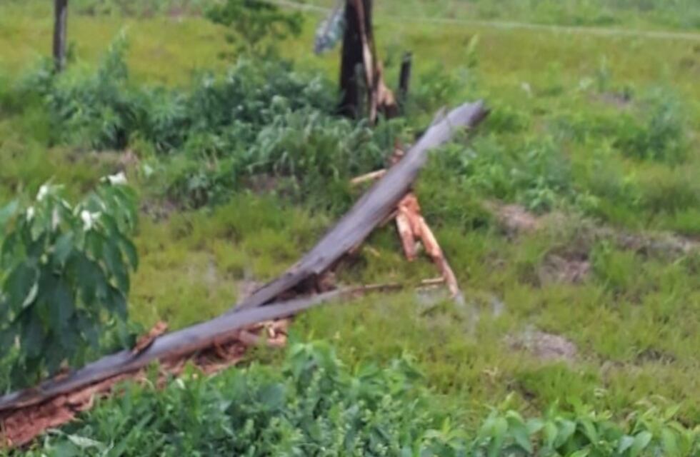 Fuerte temporal en San Pedro con caída de árboles y daños en la red eléctrica
