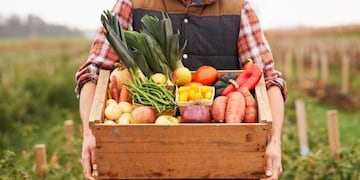 Si todos fueran vegetarianos, ¿se terminaría el hambre en el mundo?