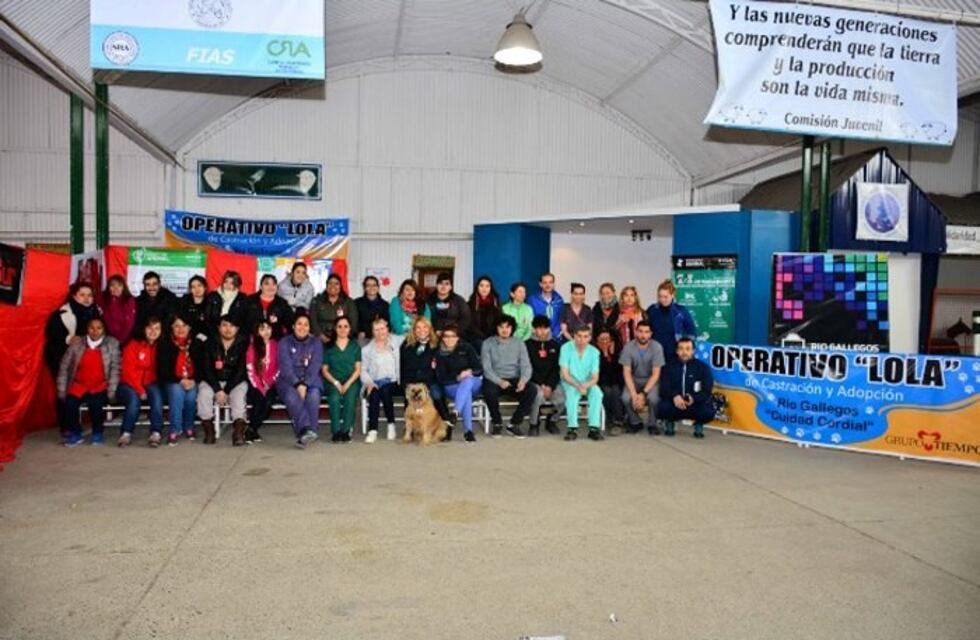 Río Gallegos: realizaron más de 300 castraciones