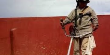 Puerto Rico: se creó un Registro de Trabajadores de Parques y Jardines