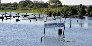 Desde el gobierno consideran apresurado declarar la emergencia agropecuaria