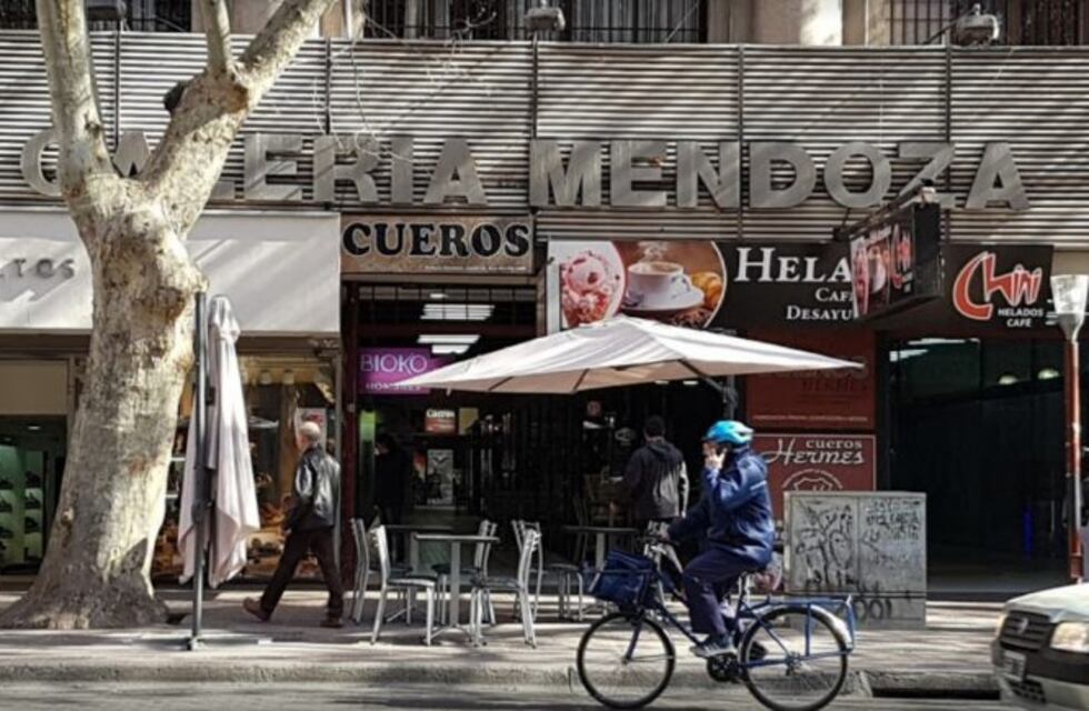 Robó en un local y quedó registrado por las cámaras