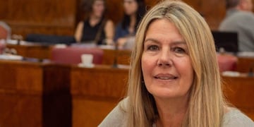 Concejal marplatense impulsa la prohibición de las publicidades de remedios antifebriles y para la tos (Foto: Paula Mantero Twitter)