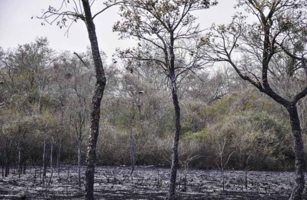 La noticia más esperada: se apagaron todos los incendios