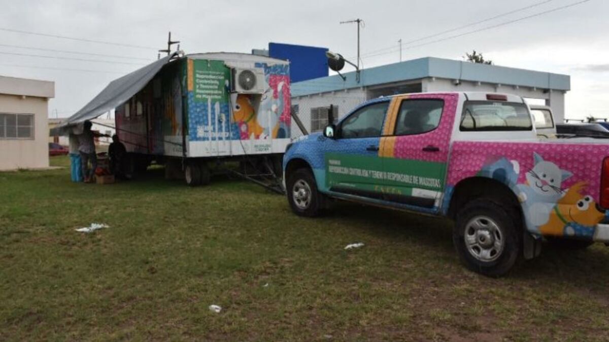 Móvil sanitario de mascotas